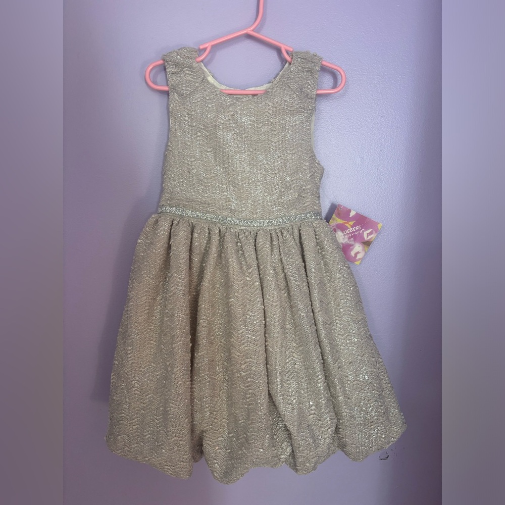 Blueberi boulevard kids dress size 5 NWT